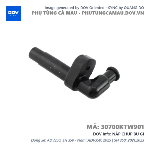 NẮP CHỤP BU GI — 30700KTW901
