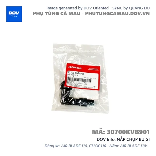 NẮP CHỤP BU GI — 30700KVB901