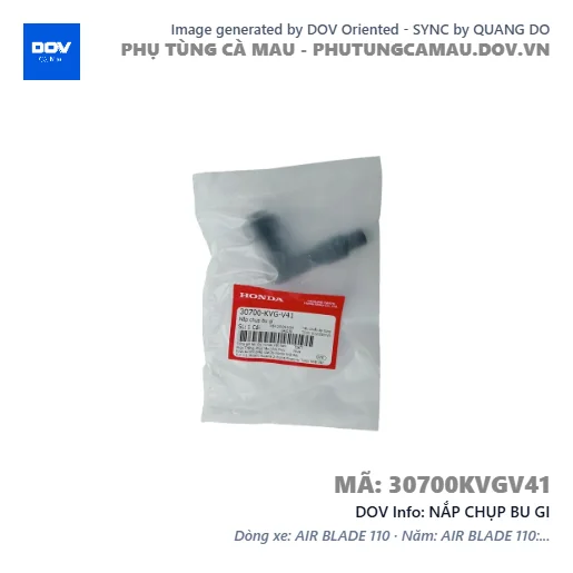 NẮP CHỤP BU GI — 30700KVGV41