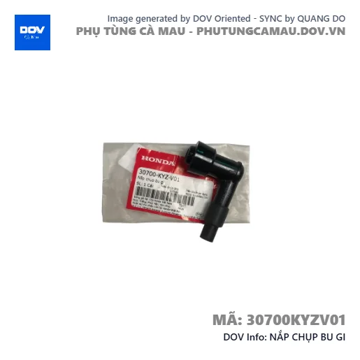 NẮP CHỤP BU GI — 30700KYZV01