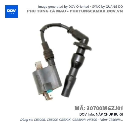 NẮP CHỤP BU GI  — 30700MGZJ01