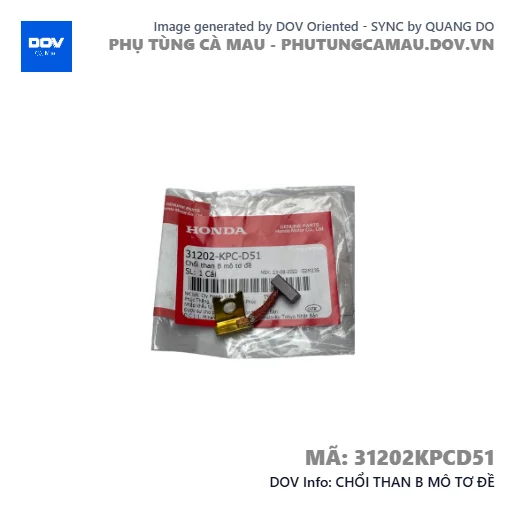 CHỔI THAN B MÔ TƠ ĐỀ — 31202KPCD51