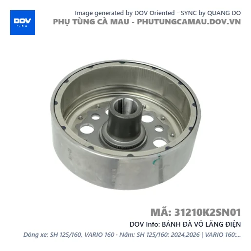 BÁNH ĐÀ VÔ LĂNG ĐIỆN — 31210K2SN01