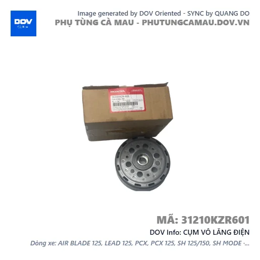 CỤM VÔ LĂNG ĐIỆN  — 31210KZR601