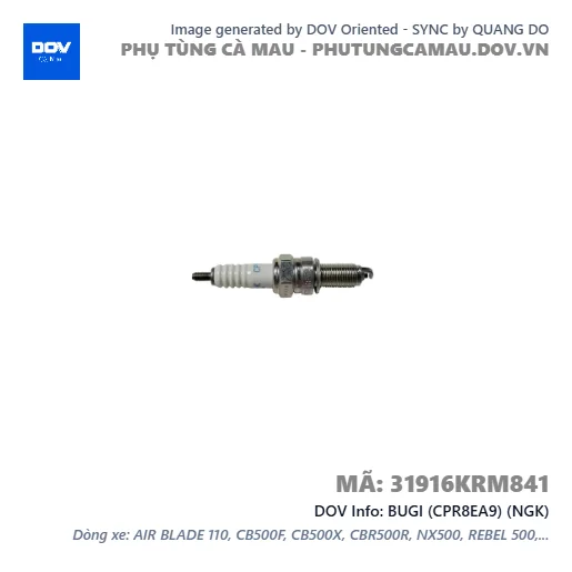 BUGI (CPR8EA9) (NGK) — 31916KRM841
