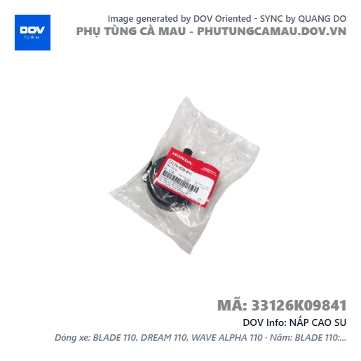 NẮP CAO SU  — 33126K09841