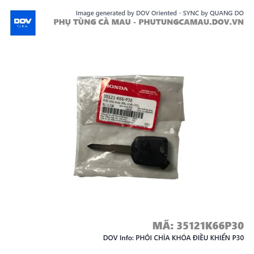 PHÔI CHÌA KHÓA ĐIỀU KHIỂN P30  — 35121K66P30
