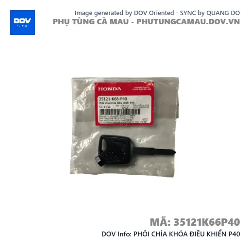 PHÔI CHÌA KHÓA ĐIỀU KHIỂN P40  — 35121K66P40