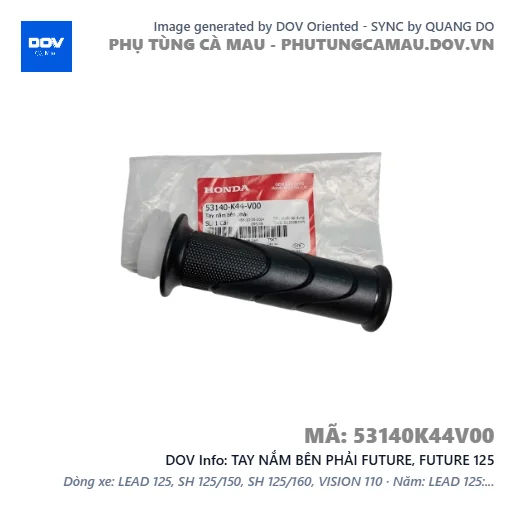 TAY NẮM BÊN PHẢI FUTURE, FUTURE 125 — 53140K44V00