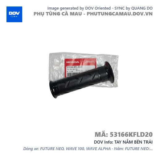 TAY NẮM BÊN TRÁI  — 53166KFLD20