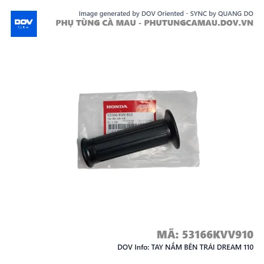 TAY NẮM BÊN TRÁI DREAM 110 — 53166KVV910