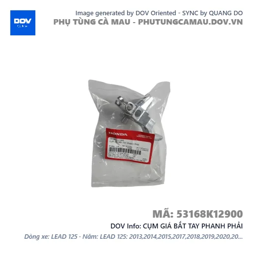 CỤM GIÁ BẮT TAY PHANH PHẢI  — 53168K12900