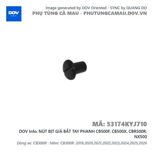 NÚT BỊT GIÁ BẮT TAY PHANH CB500F, CB500X, CBR500R, NX500 — 53174KYJ710