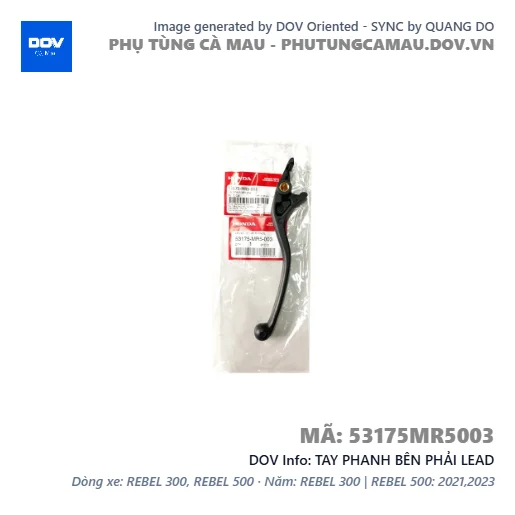 TAY PHANH BÊN PHẢI LEAD — 53175MR5003