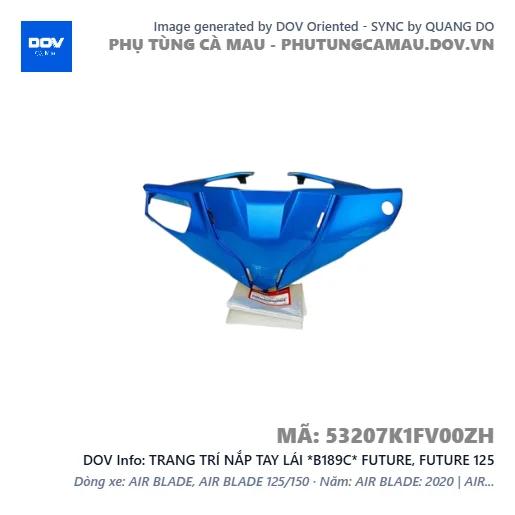 TRANG TRÍ NẮP TAY LÁI *B189C* FUTURE, FUTURE 125 — 53207K1FV00ZH