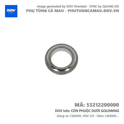 CÔN PHUỘC DƯỚI GOLDWING — 53212200000