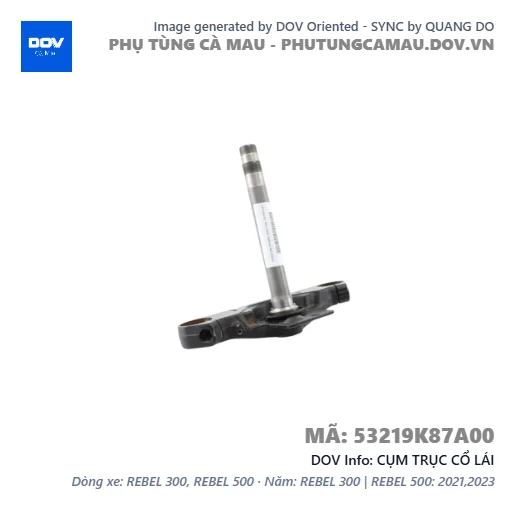 CỤM TRỤC CỔ LÁI  — 53219K87A00