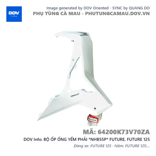 BỘ ỐP ỐNG YẾM PHẢI *NHB55P* FUTURE, FUTURE 125 — 64200K73V70ZA