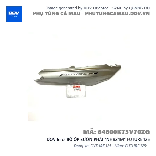 BỘ ỐP SƯỜN PHẢI *NHB24M* FUTURE 125 — 64600K73V70ZG