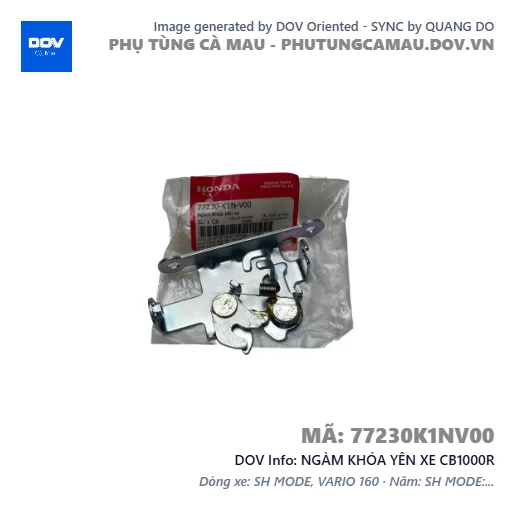 NGÀM KHÓA YÊN XE CB1000R — 77230K1NV00