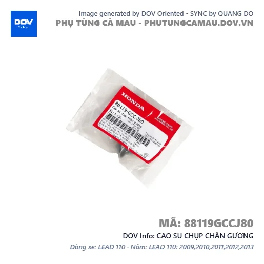 CAO SU CHỤP CHÂN GƯƠNG — 88119GCCJ80
