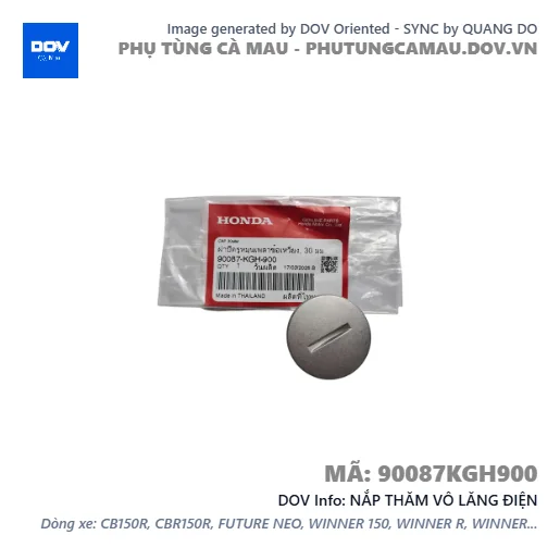 NẮP THĂM VÔ LĂNG ĐIỆN  — 90087KGH900