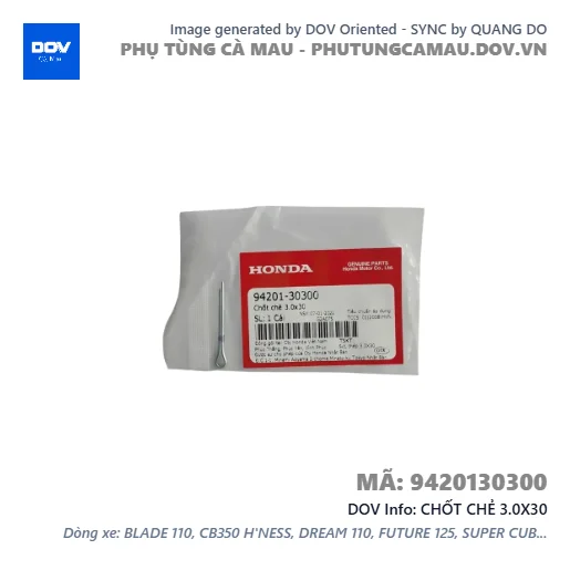 CHỐT CHẺ 3.0X30  — 9420130300