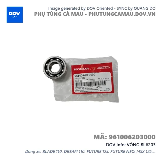 VÒNG BI 6203  — 961006203000