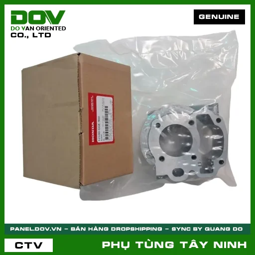 XYLANH — 12100GGE900
