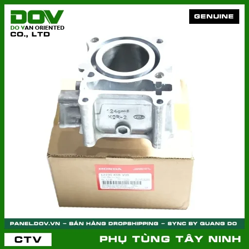 CỤM ĐẦU XY LANH — 12100K0RV00