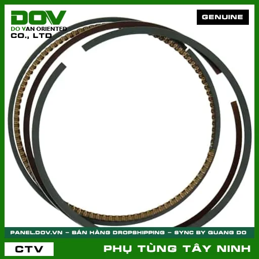 BỘ XÉC MĂNG CỐT 1 (0.25) — 13021K1Z305