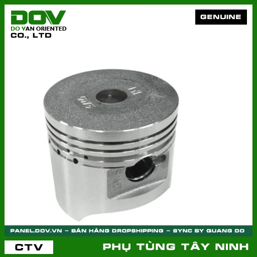 PISTON TIÊU CHUẨN (0.00) — 13101GN5912