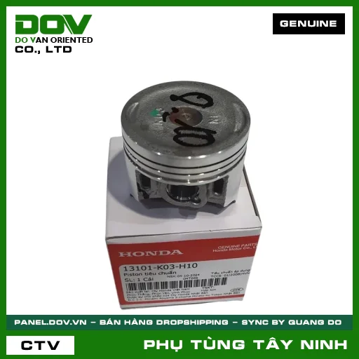 PISTON TIÊU CHUẨN — 13101K03H10