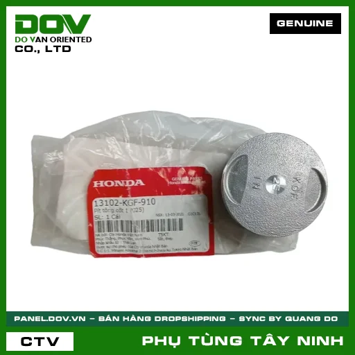 PÍT TÔNG CỐT 1 (025) — 13102KGF910