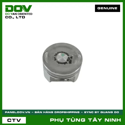 PISTON (0.5) — 13103K44V00