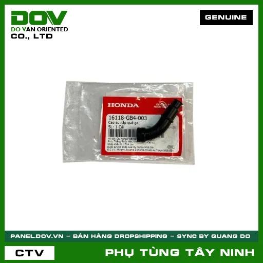 CAO SU NẮP QUẢ GA — 16118GB4003