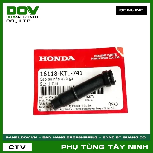 CAO SU NẮP QUẢ GA — 16118KTL741