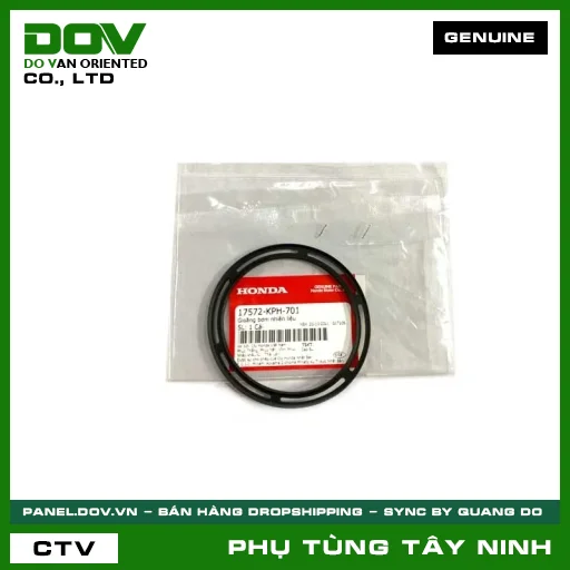 GIOĂNG BƠM NHIÊN LIỆU — 17572KPH701