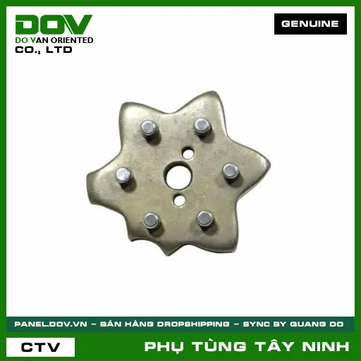 ĐĨA HOA THỊ HÃM SỐ — 24410K15900