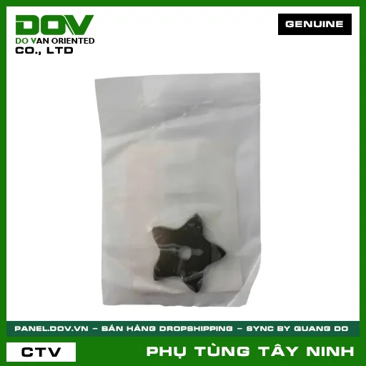 ĐĨA HOA THỊ HÃM SỐ — 24411GB4771