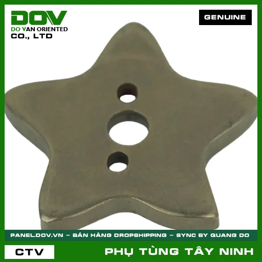 ĐĨA HOA THỊ HÃM SỐ — 24411KWW740