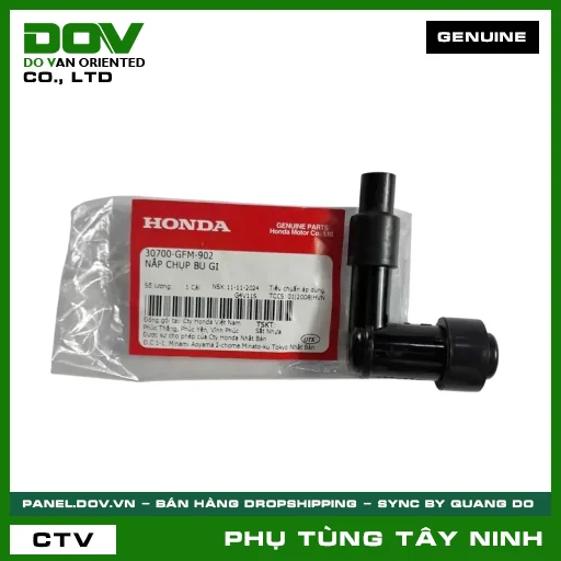 NẮP CHỤP BU GI — 30700GFM902