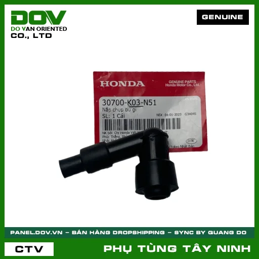 NẮP CHỤP BU GI — 30700K03N51