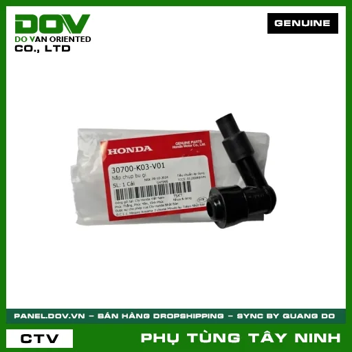 NẮP CHỤP BU GI — 30700K03V01