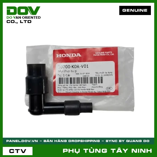 NẮP CHỤP BU GI — 30700K0RV01