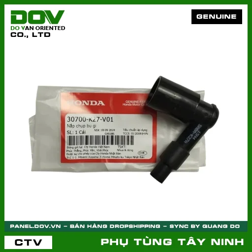NẮP CHỤP BU GI — 30700K27V01