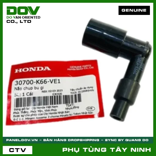 NẮP CHỤP BU GI — 30700K66VE1