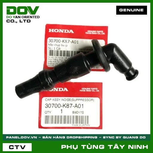 NẮP CHỤP BU GI — 30700K87A01