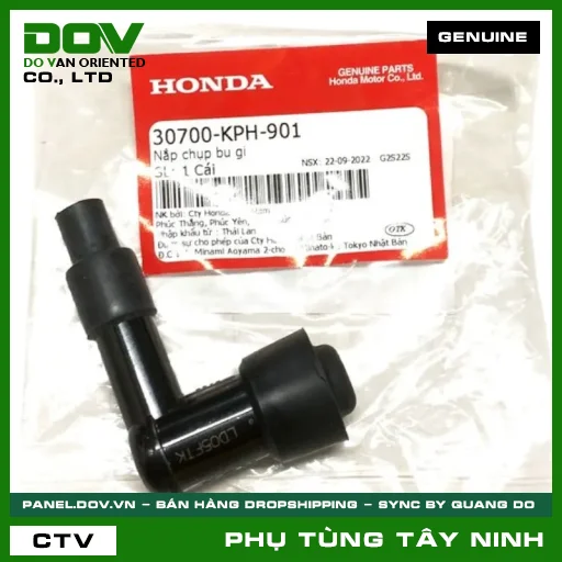 NẮP CHỤP BU GI — 30700KPH901