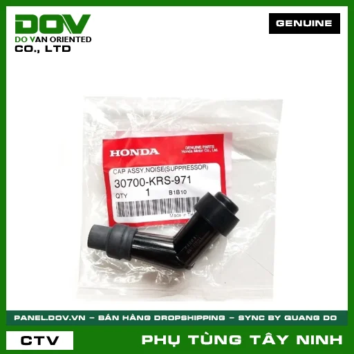 NẮP CHỤP BU GI — 30700KRS971